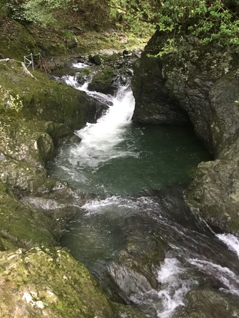 滝の落ち口より上流