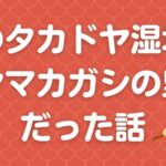 秋のタカドヤ湿地はヤマカガシの里だった話