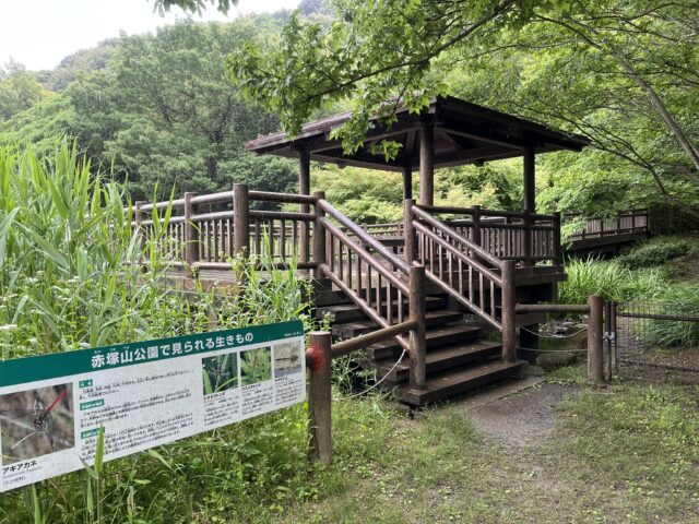 池の畔の東屋