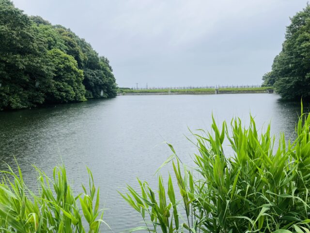 赤塚山の宮池
