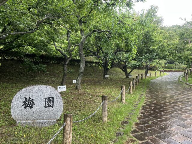 赤塚山の梅園石碑