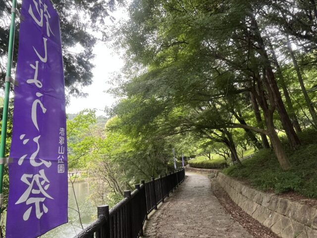 花しょうぶ祭の旗