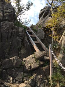 登山道のハシゴ