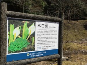 本宮山水芭蕉看板