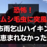 恐怖！イモムシ毛虫に突風地獄田原市雨乞山ハイキングは恵まれなかった