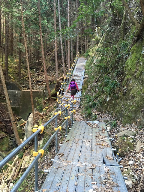 足場用パネルでできた道を歩く人