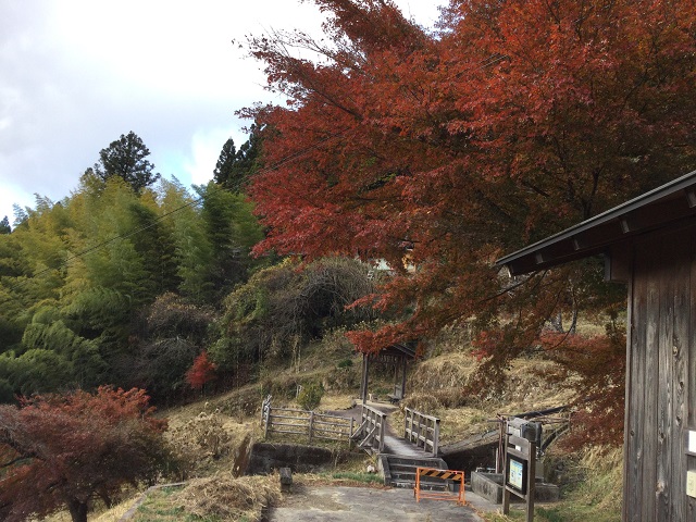 木の建物と紅葉