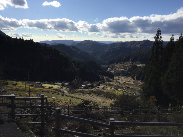 千枚田と柵