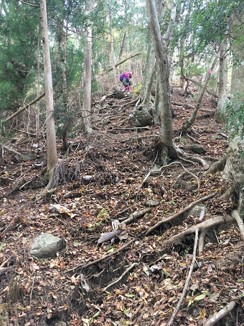 急坂の登山道を下る人