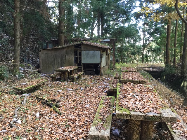 落ち葉が積もる廃墟のベンチ