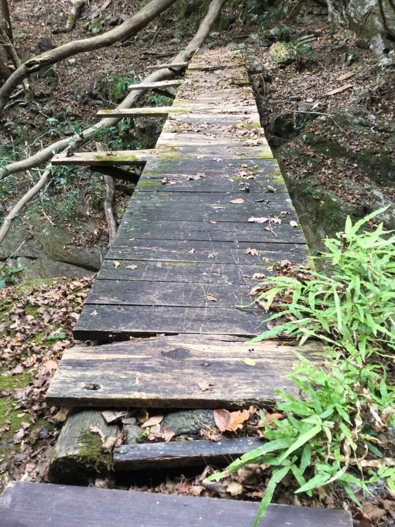 朽ちた橋板
