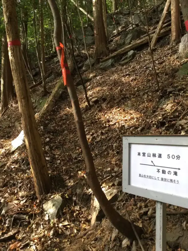 荒沢不動の案内板