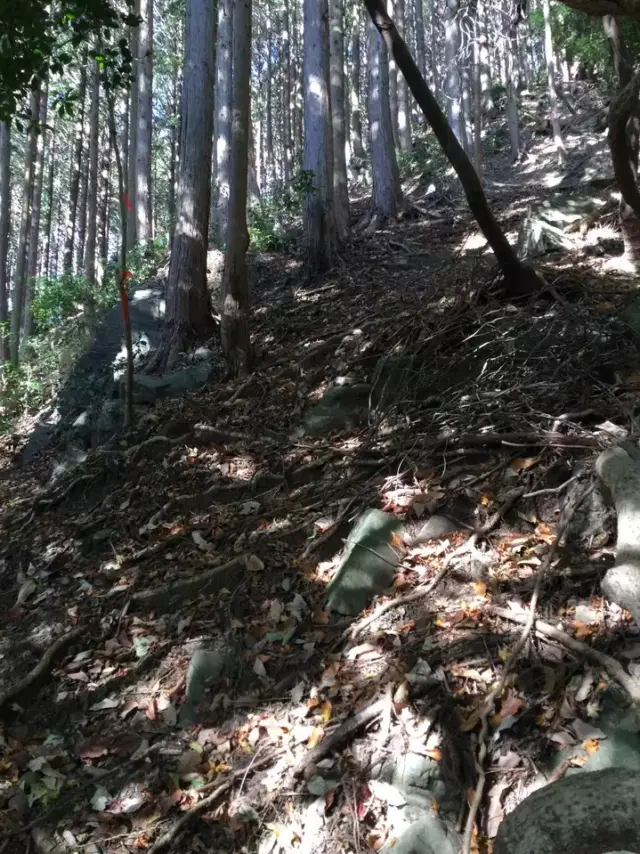 本宮山東尾根の急登