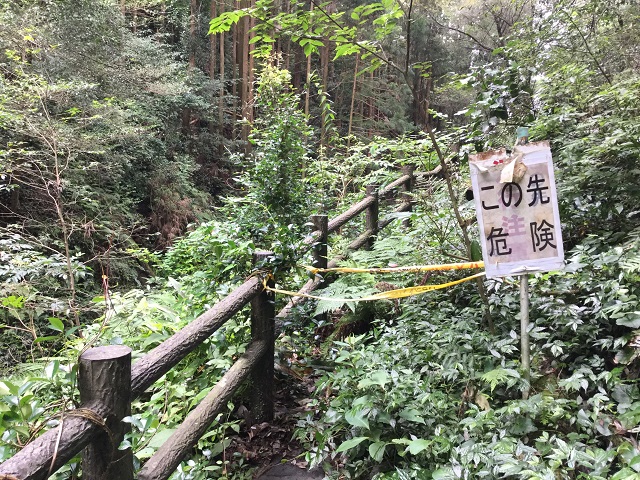 鬱蒼とした道の立ち入り禁止の看板