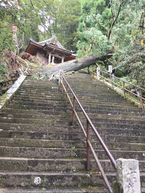 鳳来寺山台風被害後の壊れた石段
