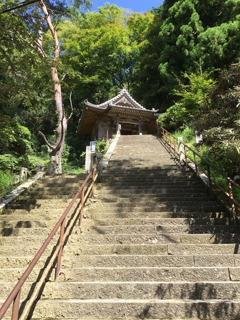 鳳来寺山の修復後の石段