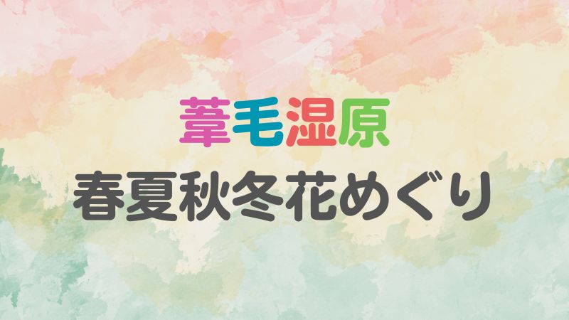 葦毛湿原春夏秋冬花めぐり