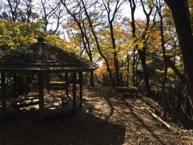 古びた東屋と黄色く色づいた木々