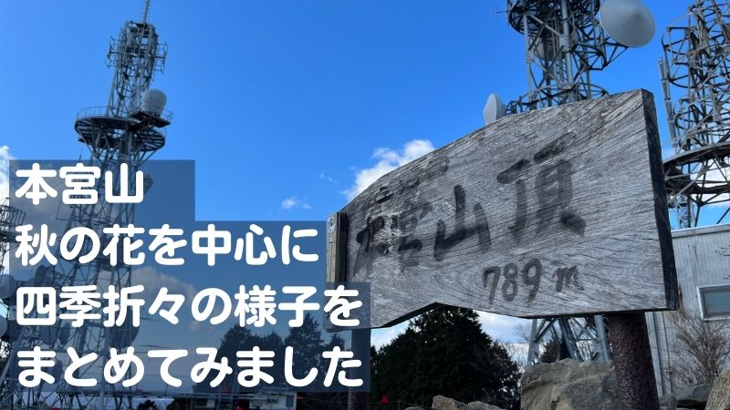 本宮山秋の花を中心に四季折々の様子をまとめてみました