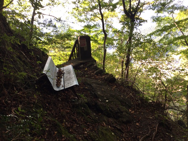 細い登山道のベンチ