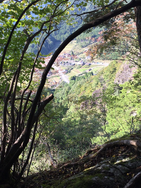 木の隙間から見える町並み