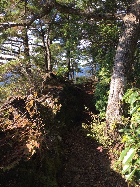 細い登山道