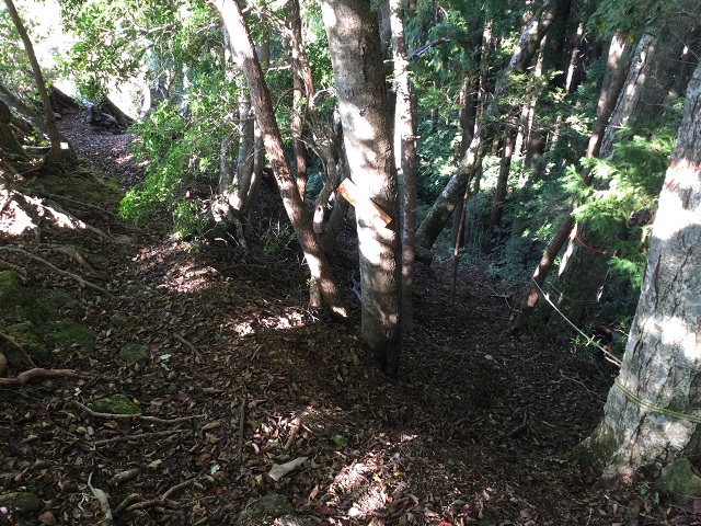 登山道分岐