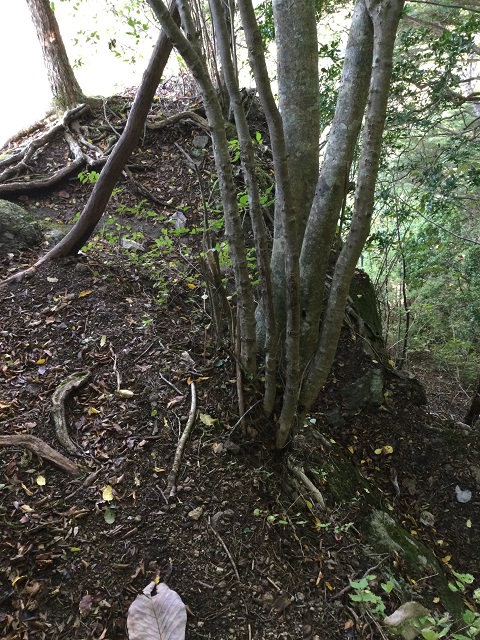 急な登山道