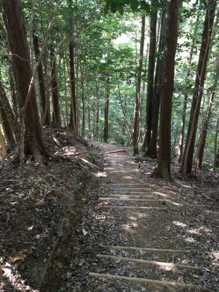 整備された登山道