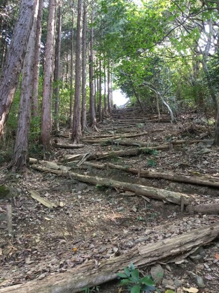 急登の登山道