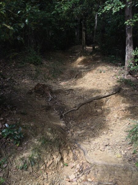 整備された登山道