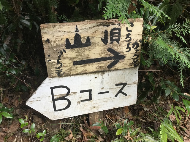 山頂への道標