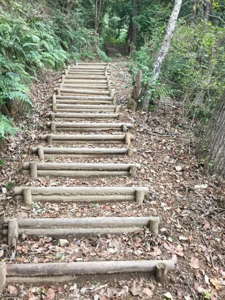 登山道の木の階段