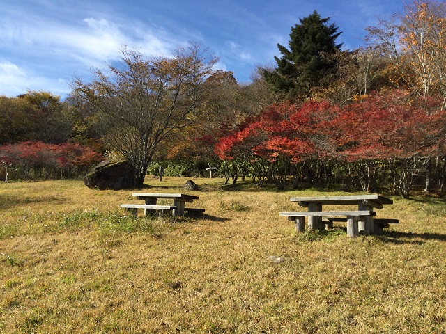 紅葉とベンチ