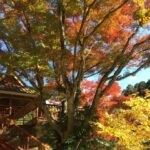 紅葉の奥の東屋