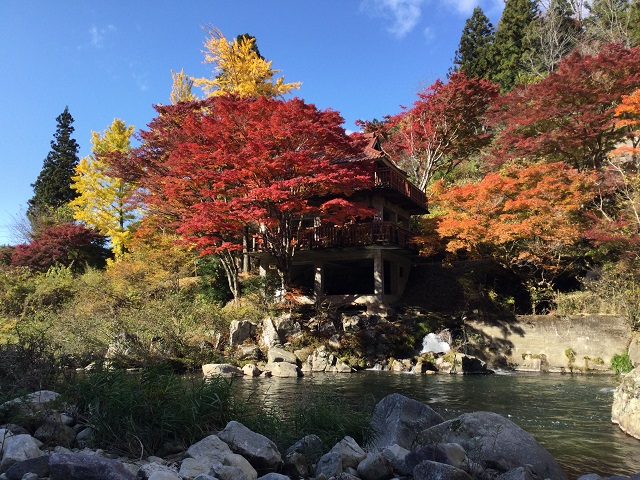 川向こうの紅葉