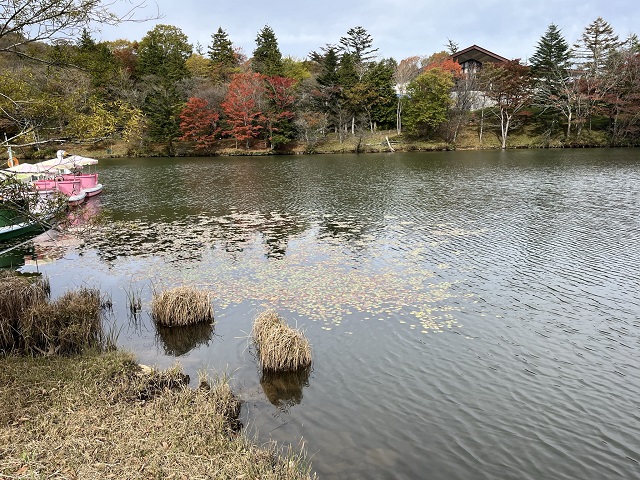 池越しの紅葉