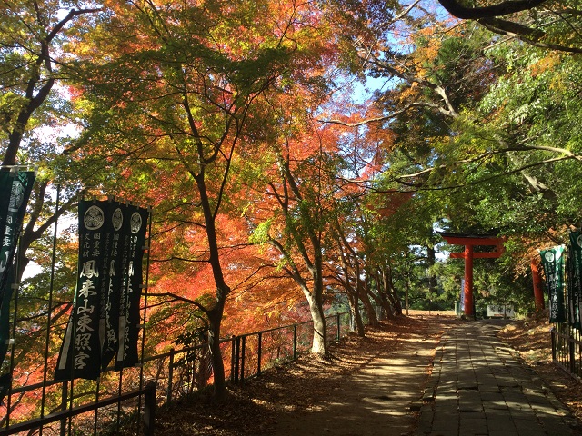 鳥居と紅葉