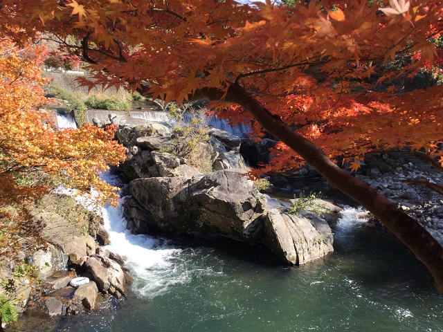 小滝の流れと紅葉