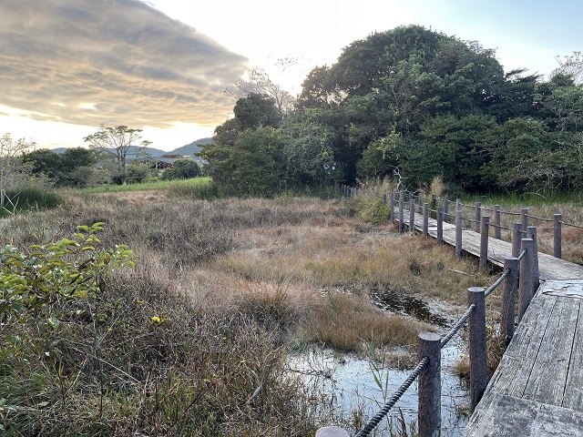 黒河湿地木道からの景色