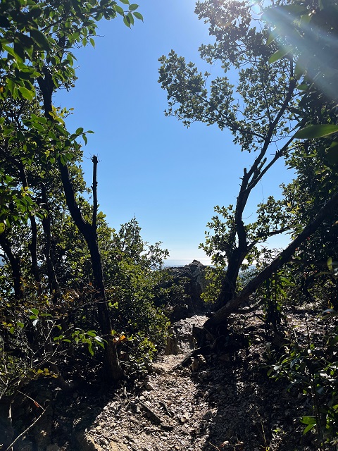 狭い登山道から見える開けた青空