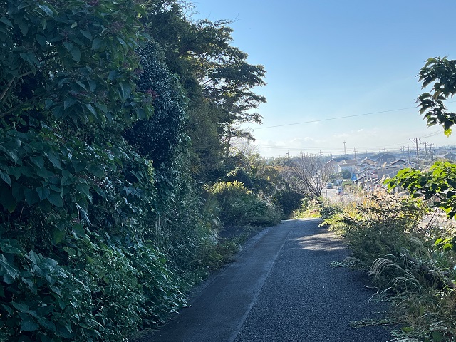 県道の様子