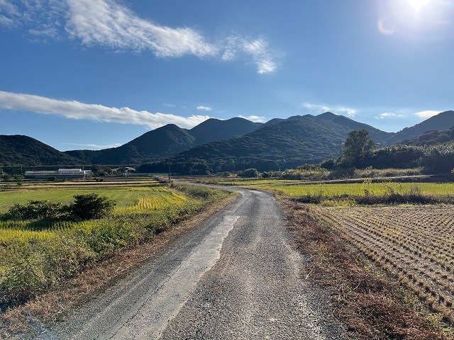 農道と山々