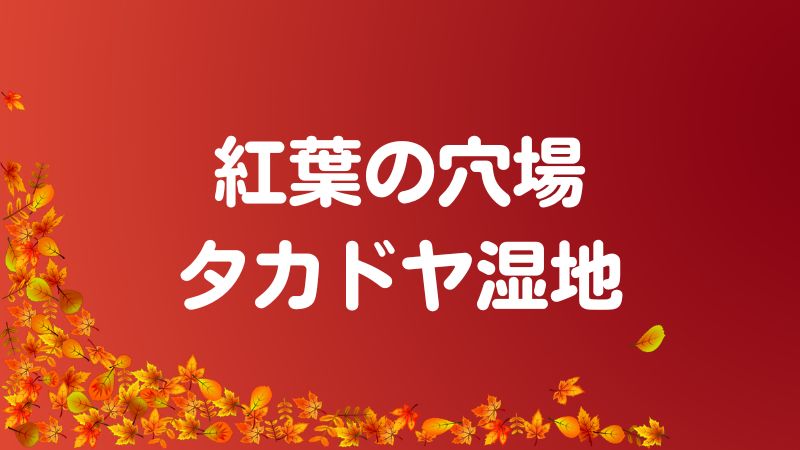 紅葉の穴場タカドヤ湿地