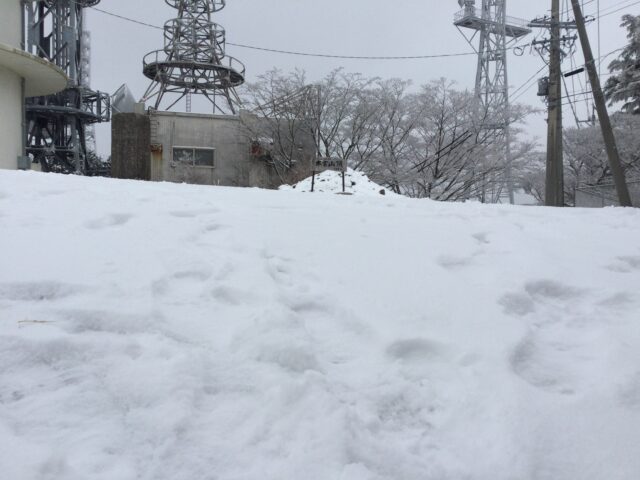 雪で真っ白な本宮山山頂