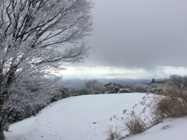 樹氷と雪の広場