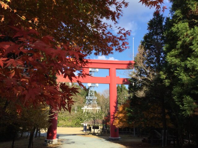 赤い大鳥居と紅葉した木