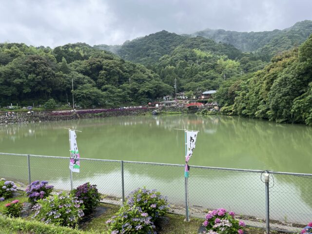 あじさいの里のぼりの立った池