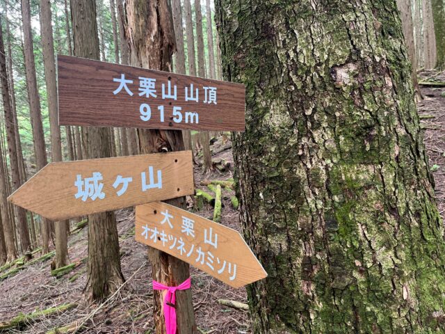 大栗山山頂道標