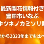 最新開花情報付き豊田市いなぶオオキツネノカミソリ群生地